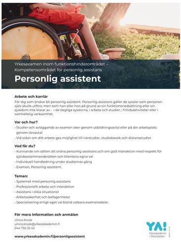 YA infoblad YE personlig assistent 2022