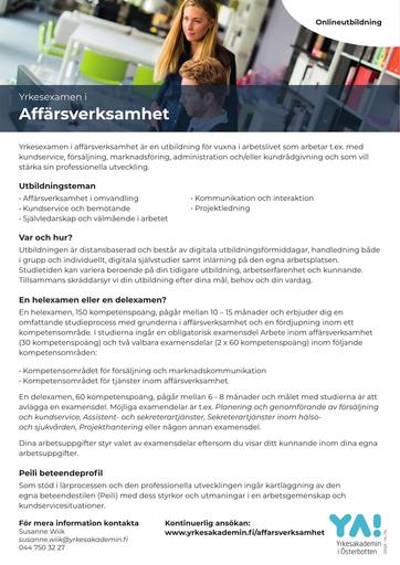 YE affärsverksamhet 2025